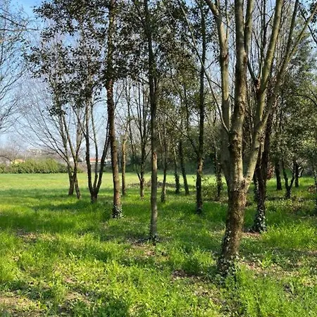 Green Woods Verona Exterior photo