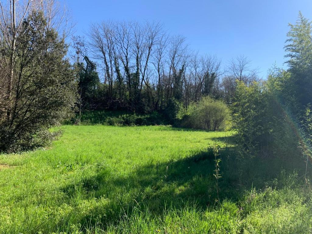 Apartment Woods Verona